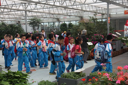 http://m.93longfengyou.com/upload/shop/article/05219107013769041.jpg