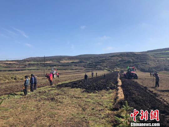 圖為在甘肅渭源縣會川鎮標準化種植的藥材地里，駛過的農用機車快速地將黃芪從土里翻出。　徐雪 攝